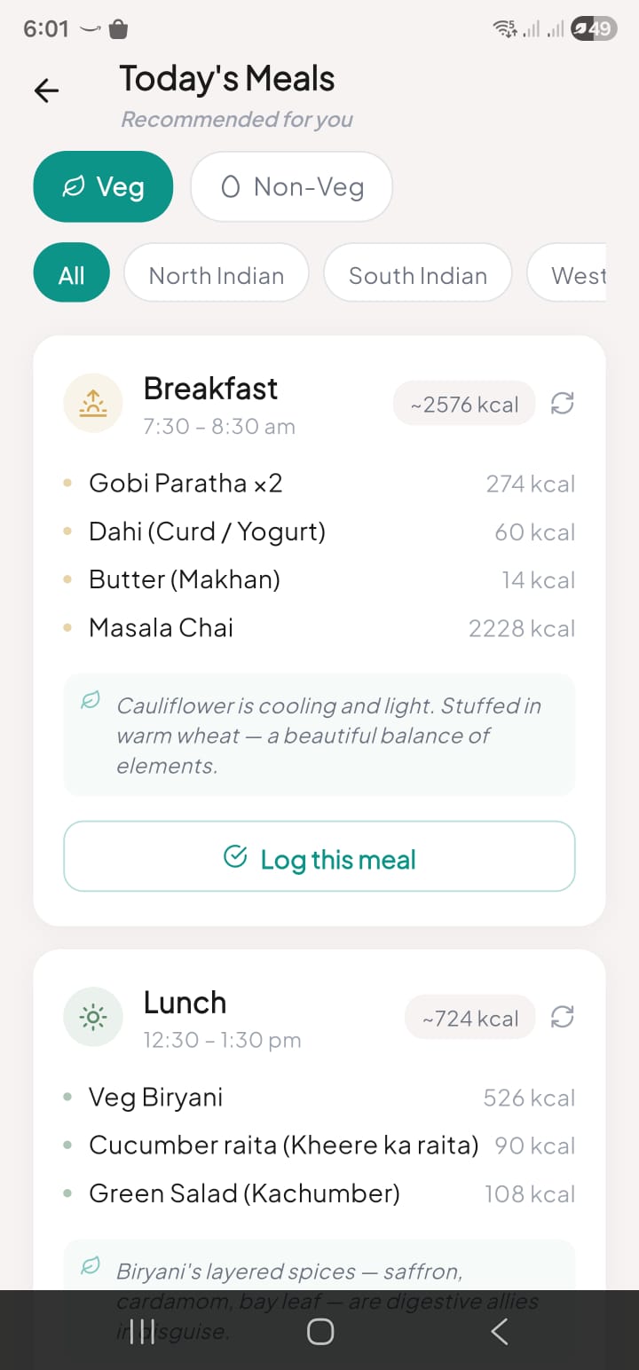 Today's Meals — Gobi Paratha, Dahi, Biryani with Bodhi insights