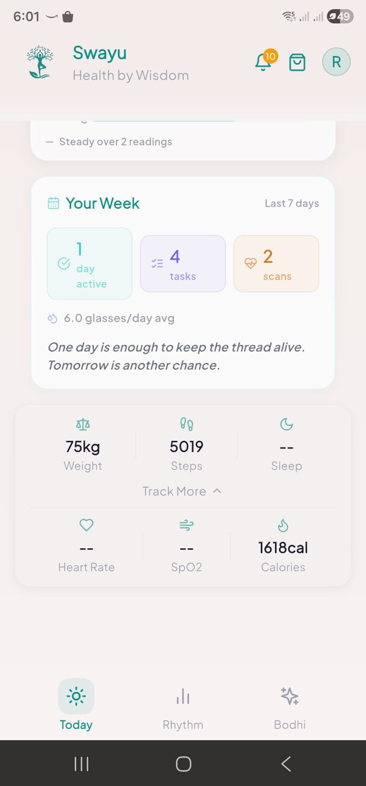 Weekly Summary — tasks, scans, health metrics